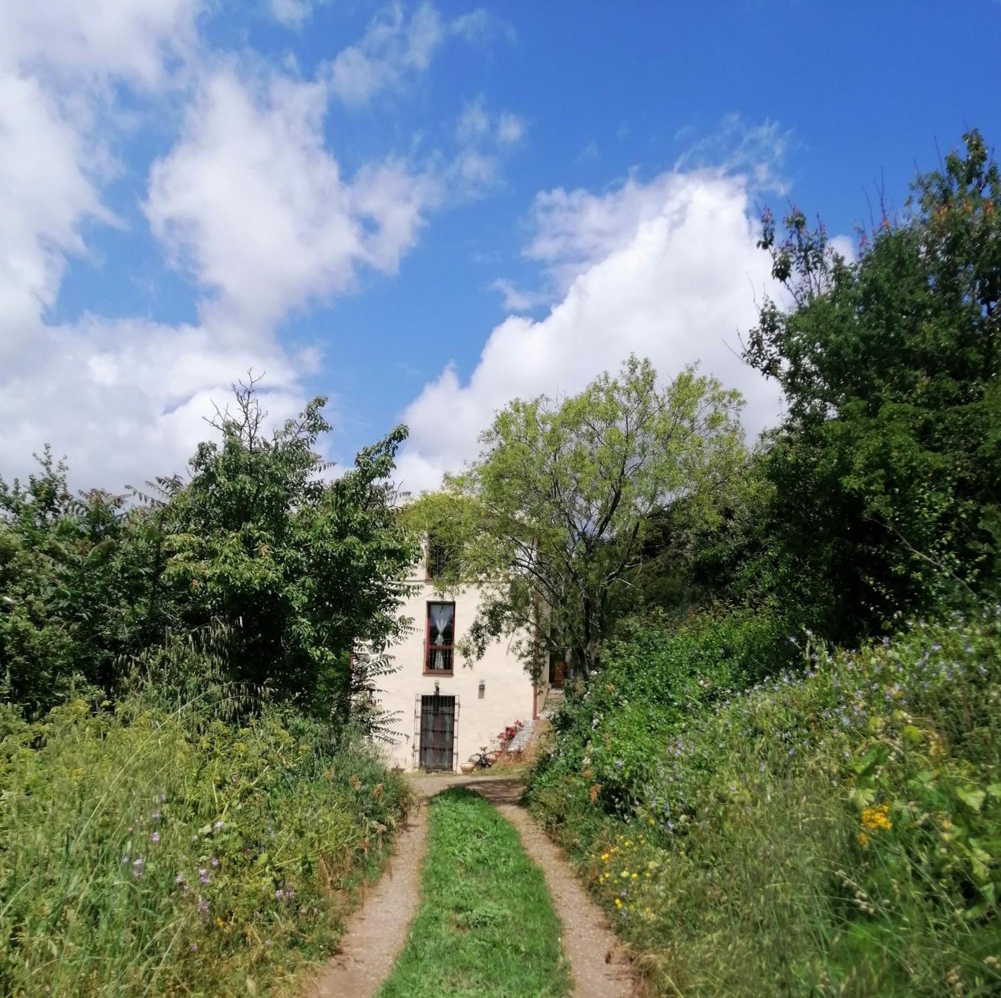 La Peonia Casa Vacanze In Montagna Prato Verde Panorama Stupendo Sardegna Seulo Bagian luar foto