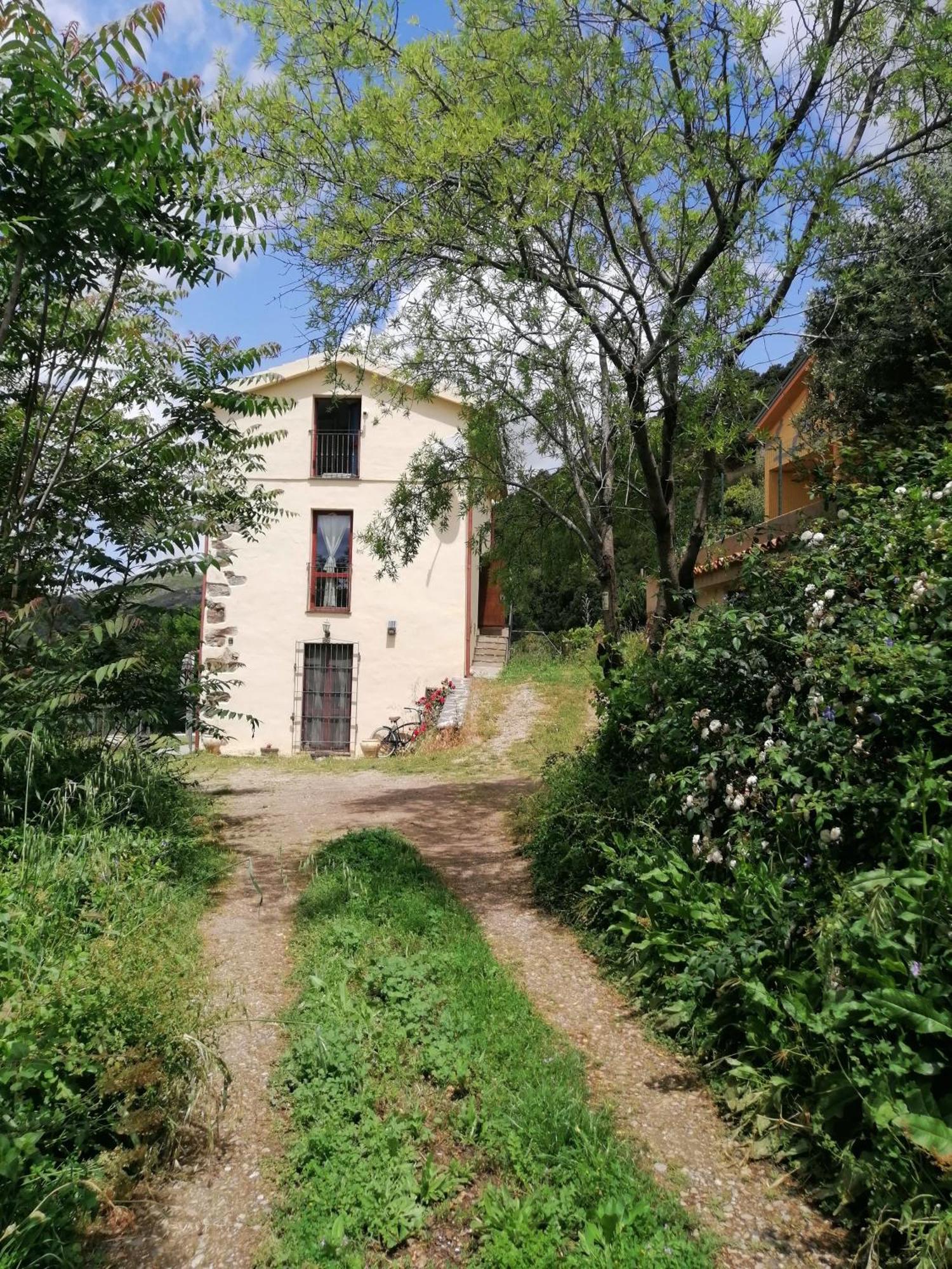 La Peonia Casa Vacanze In Montagna Prato Verde Panorama Stupendo Sardegna Seulo Bagian luar foto