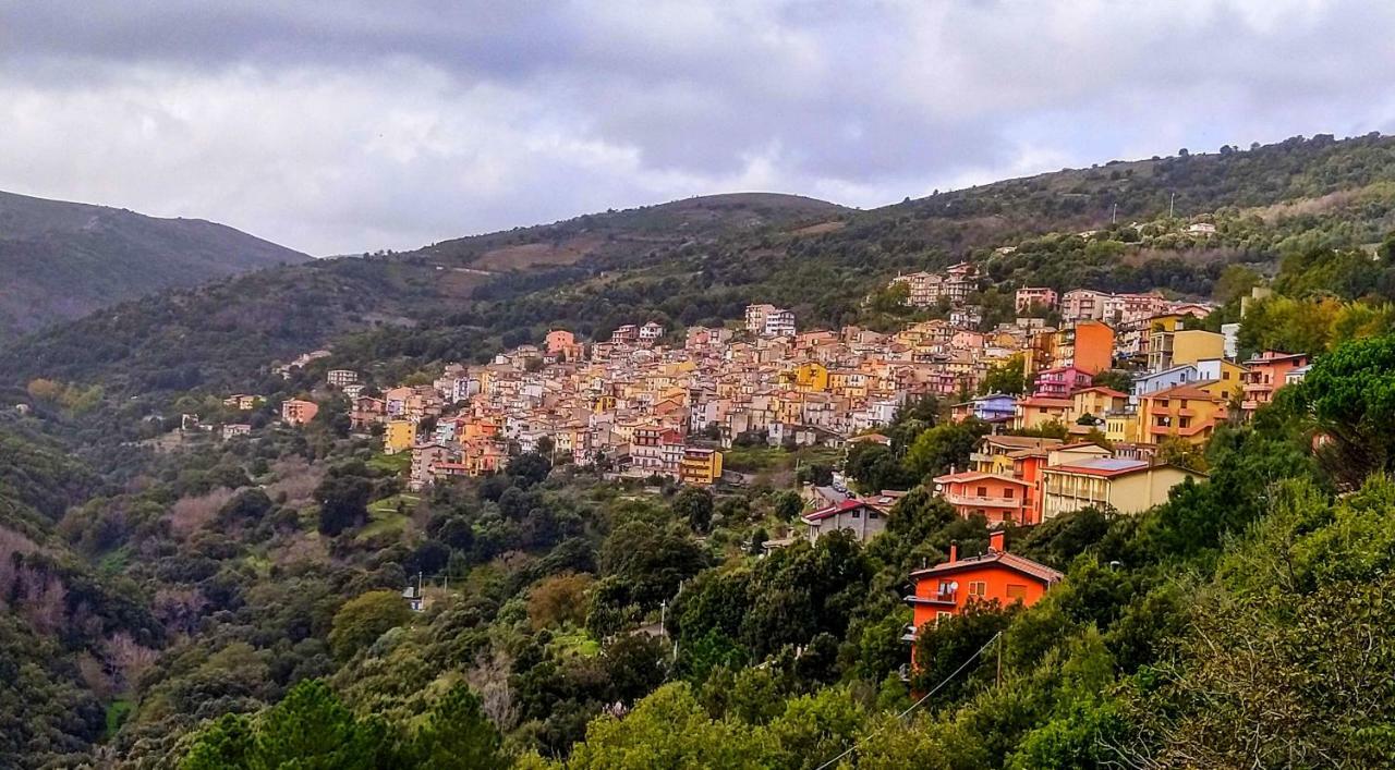 La Peonia Casa Vacanze In Montagna Prato Verde Panorama Stupendo Sardegna Seulo Bagian luar foto