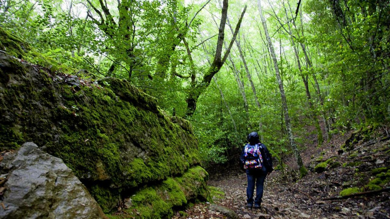La Peonia Casa Vacanze In Montagna Prato Verde Panorama Stupendo Sardegna Seulo Bagian luar foto