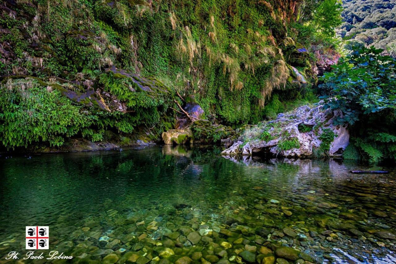La Peonia Casa Vacanze In Montagna Prato Verde Panorama Stupendo Sardegna Seulo Bagian luar foto